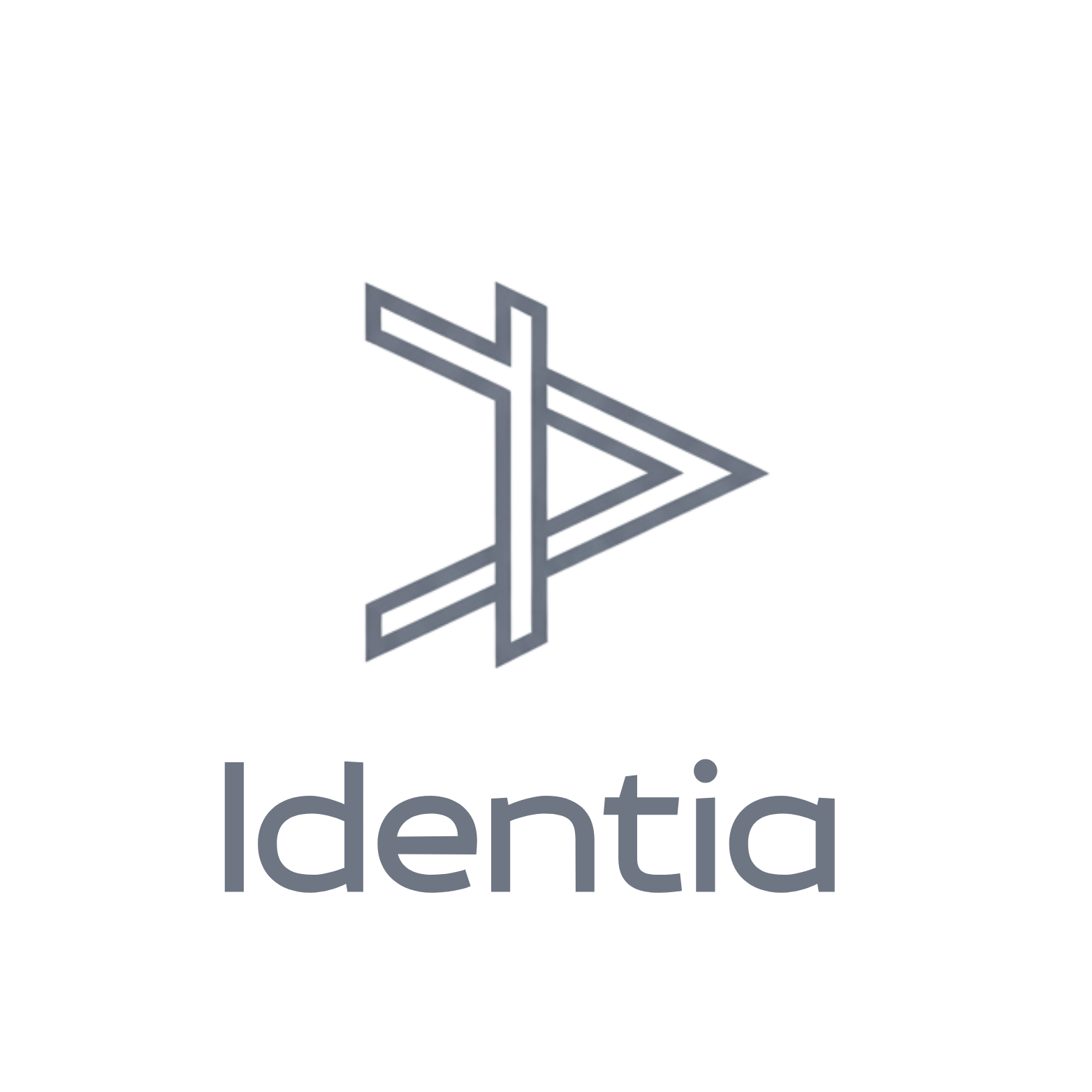 Identia - Agencia de Diseño Web Paraguay